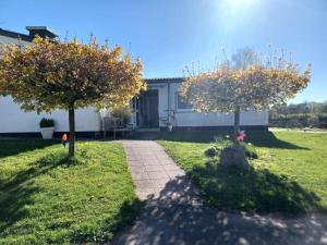 two trees in the grass in front of a house at Natur Zentral Frankenberg Eder in Frankenberg +7 photos