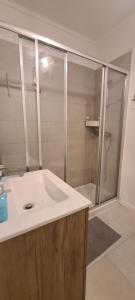 un bagno con doccia e lavandino bianco di Joli appartement 2 chambres avec vue sur le Tage à Algés ad Algés Altre 14 foto