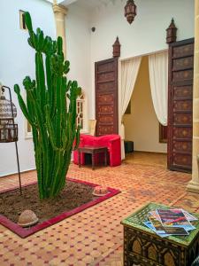 Fotografie z fotogalerie ubytování La Fontaine Bleue v destinaci Essaouira