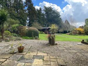 a garden with potted plants on a patio at The Garden House in Dewlish +8 photos