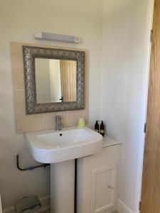 a bathroom with a white sink and a mirror at The Garden House in Dewlish