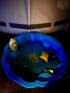 Φωτογραφία από το άλμπουμ του CosyCottage σε Sunbury