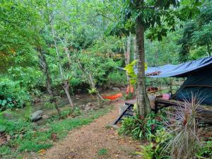 a tent in the woods next to a river at Pingjai Halal Camping in Ban Nong Mai Kaen