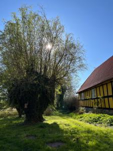 Zahrada ubytování GRUBBE MØLLE Bed & Breakfast