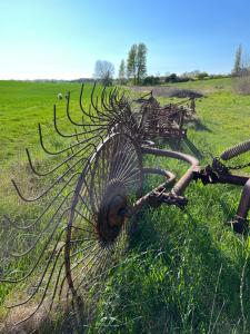 Fotografie z fotogalerie ubytování GRUBBE MØLLE Bed & Breakfast v destinaci Fåborg
