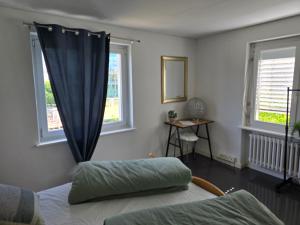 una camera da letto con un letto e due finestre di Eco Home a Zurigo