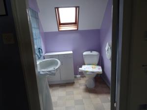 Baño púrpura con aseo y lavamanos en Rentz Martine, en Riquewihr 31 fotos más