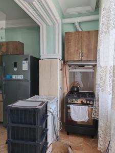 Η κουζίνα ή μικρή κουζίνα στο Batumi apartment