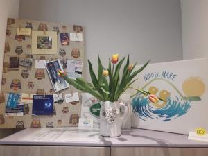 Fotografia z galérie ubytovania B&B nido sul mare v destinácii Alassio