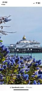 a pier with blue flowers in front of it at Garden flat in 'Little Chelsea' in Eastbourne