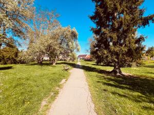 Zahrada ubytování Apartmán VALORI - 100m2