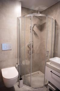 a shower in a bathroom with a toilet and a sink at Apartament Ustroń 20 in Ustroń +25 photos