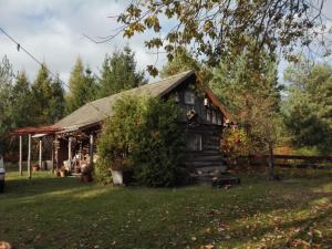 a small log cabin in the middle of a yard at Chata Spokoju pod Gwiazdami in Olchówka