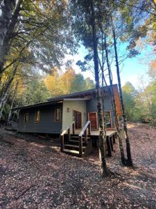 a small house in the middle of a forest at Rincón nevado in Coñaripe +9 photos