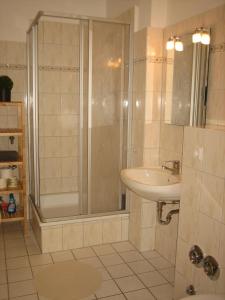 een badkamer met een douche en een wastafel bij Wölfele Apartment in Quedlinburg