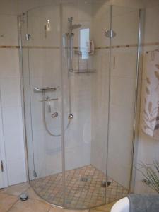 La salle de bains est pourvue d'une douche avec une porte en verre. dans l'établissement Bed & Breakfast Faas, à Wittlich