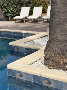 un palmier installé à côté d'une piscine dans l'établissement Villa Yoléa avec piscine privée au Grau du Roi Vacances de rêve, au Grau-du-Roi