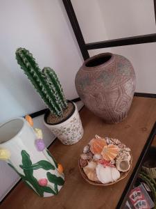 ein Tisch mit einer Pflanze, einer Vase und einem Teller mit Essen in der Unterkunft Rena Majore Home in Rena Majore + 35 Fotos