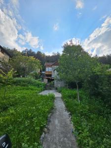 a path leading to a house in a yard at Ponti House Dilijan - beautiful 2 bedroom house and separate 1 bed unit, sleeps 6 in Dilijan