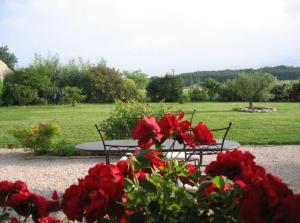 Jardín al aire libre en Terre de Garance