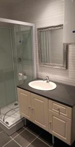 a bathroom with a sink and a shower at la p'tite maison d'olima in Épinal