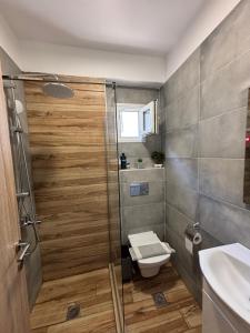 a bathroom with a shower with a toilet and a sink at Pinelopi family Apartment in Hanioti +10 photos