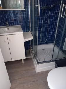 a bathroom with a shower and a sink and a toilet at Votre cocon à 1km de la plage in Camiers