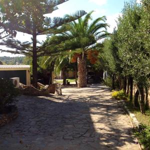 Gallery image of Addisora Appartamenti in Cala Liberotto