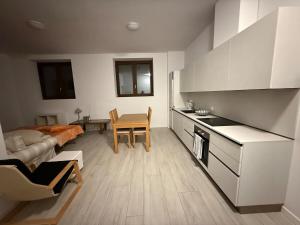 门德里西奥Studio apartment in the center of Mendrisio的配有桌子和沙发的厨房和客厅