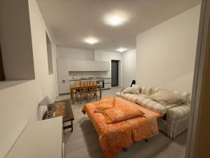 门德里西奥Studio apartment in the center of Mendrisio的带沙发和桌子的客厅