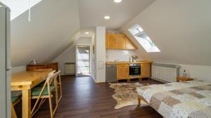 Kuchyň nebo kuchyňský kout v ubytování Apartman pri Kupi