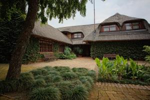 ein grünes Haus mit einem Baum und einigen Pflanzen in der Unterkunft Foundry Guest Lodge in Pretoria