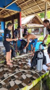 Majutusasutuse Pristine Paradise Dive Resort - Togean Islands, Una Una külastajad