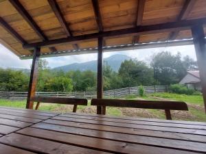 Příroda nedaleko apartmánu