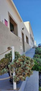 un groupe de plantes en pot devant un bâtiment dans l'établissement Casa Daniel, à Costa Teguise