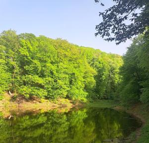 Paesaggio naturale nelle vicinanze della casa vacanze