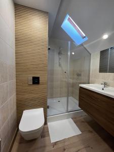 a bathroom with a toilet and a shower and a sink at Piastowy Dwór in Jastrzębia Góra +34 photos