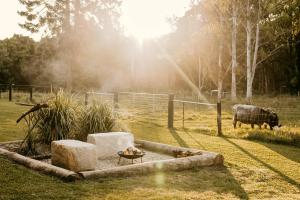宁宾Contained in Nimbin Accommodation的相册照片