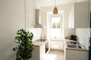 グラーツにあるJS Deluxe Apartmentの前景に鉢植えの植物がある白いキッチン
