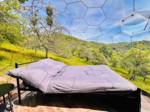 a bed in a room with a view of a field at Romantik pur - Schlafen unter dem Sternenhimmel in Ebersberg