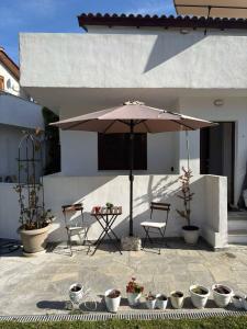 A patio or other outdoor area at Elani Cactus House