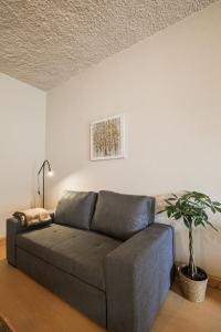 a couch in a living room with a potted plant at Casa Pinheiro in Pinheiro de Coja