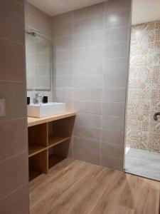 a bathroom with a sink and a shower at Chambres d'hôtes Ferme LAPINE in Arthez-dʼAsson +17 photos