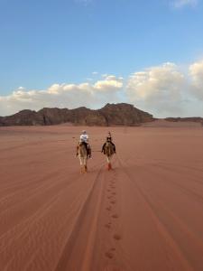 dos personas montando caballos en el desierto en Profitez du Wadi Rum avec nous, en Wadi Rum 37 fotos más