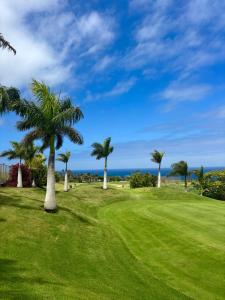 un groupe de palmiers sur un terrain de golf dans l'établissement Casa Vistabuena, Golf, Jacuzzi, Beach and Views, à Buenavista del Norte 30 autres photos