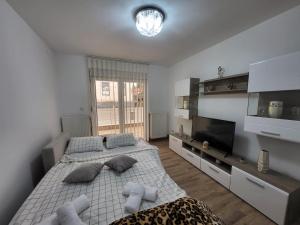 Postel nebo postele na pokoji v ubytování Apartman Djuric