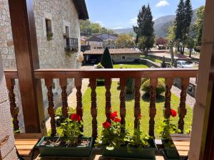 a balcony with flowers in pots on a porch at Apartamentos Villa Julieta in Ruente