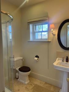 a bathroom with a toilet and a sink at Drummin Cottage in Tinahely +25 photos