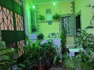 Gallery image of Mount Zion Guest House, Mtwapa Mtomondoni in Mombasa