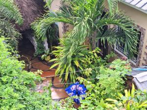 Mount Zion Guest House, Mtwapa Mtomondoni外面的花园